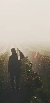 RUINART x TADASHI KAWAMATA