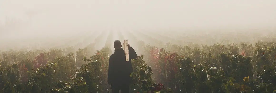 RUINART x TADASHI KAWAMATA